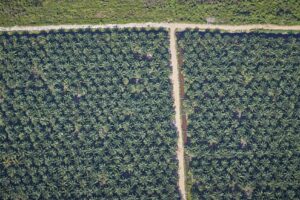 問われる花王「何を知り、何を見逃し、何を語ってきたのか」