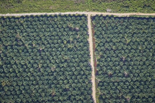 問われる花王「何を知り、何を見逃し、何を語ってきたのか」