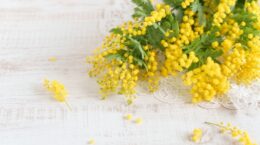 「国際女性デー」、なぜ地方のジェンダー格差は縮まらないのか