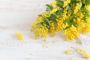 国際女性デー、なぜ地方のジェンダー格差は縮まらないのか