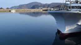 三菱UFJが違法漁業への投融資除外、NGO「他行も対応を」