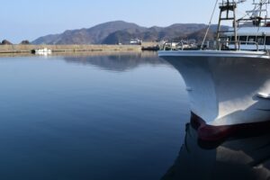 三菱UFJが違法漁業への投融資除外、NGO「他行も対応を」