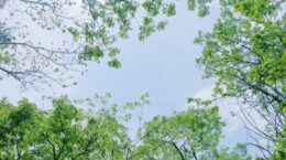 「サステナビジネス戦略5か条」（下）利益と投資とコスト