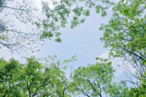 「サステナビジネス戦略5か条」（下）利益と投資とコスト