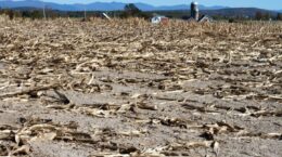 「2℃上昇に抑えても極端な気候被害」ネイチャー誌に新論文