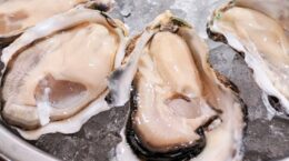 カキが歴史的不作、背景に海水温の上昇や海の酸性化も