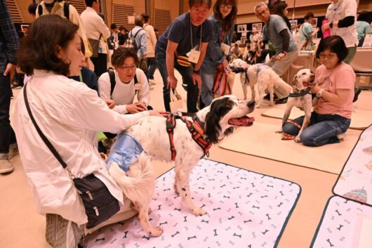 パナソニック主催の保護犬猫譲渡会は8回目を迎えた（2026年4月19日、東京・江東区有明で撮影）