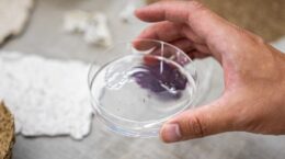 セメダインなど、「水で剥がせる」海藻由来の接着剤を開発