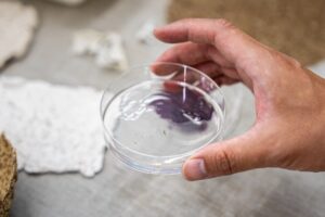 セメダインなどが「水で剥がせる」接着剤、海藻由来で資材削減にも