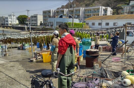 相模湾で失われた藻場を再生、ブルーカーボン収益を地域に還元へ