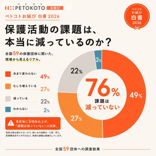 犬猫の殺処分数は93％減少の一方、保護団体76％が「課題減っていない」