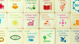日本のSDGs達成度は世界20位に後退、ジェンダーなどが最低評価に