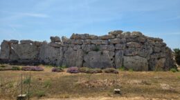 世界遺産「飛鳥・藤原」とマルタに共通する「古代コミュニティ」とは