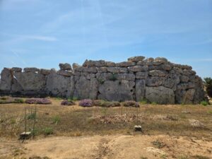 世界遺産「飛鳥・藤原」とマルタに共通する「古代コミュニティ」とは