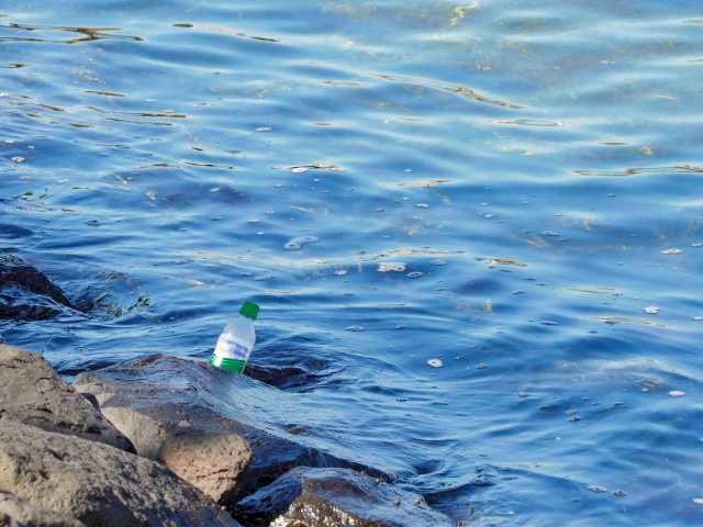 海洋マイクロプラスチック