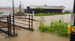 千葉・神奈川を襲った台風25号の雨量、気候変動で過去平均より5～15％強かった