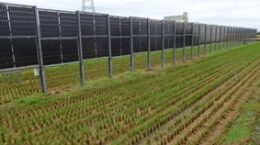 老舗酒造が水田でソーラーシェアリングを実践する理由とは